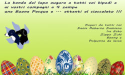 Buona Pasqua da la banda del lupo