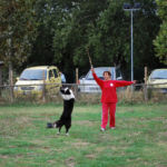 Un altro momento della coreografia di zorro Un altro momento della coreografia di zorro