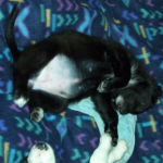 Come si dorme bene !!