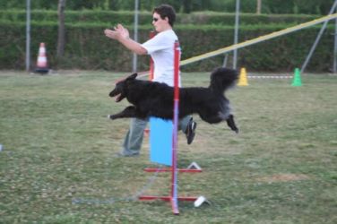 Dania e Bonny, agility Dania e Bonny, agility