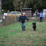 Impariamo nuovi esercizi Impariamo nuovi esercizi