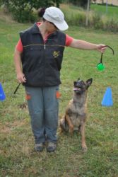 Educazione di base, premiare il cane con il gioco Educazione di base, premiare il cane con il gioco