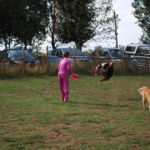 Milly Boccardo e Ariel ci mostrano alcuni passaggi con il freesbe Milly Boccardo e Ariel ci mostrano alcuni passaggi con il freesbe