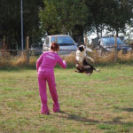 Milly, Ariel e ... il fresbee Milly, Ariel e ... il fresbee